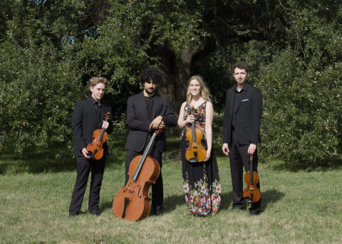 Pavone Quartet