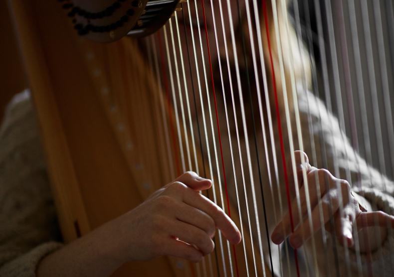 Harp
