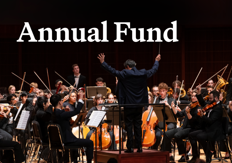 Annual Fund